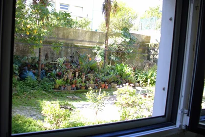 Chambre privée à Praça Gonçalo Trancoso, image 9 de 19