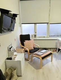 Private room at Briljantstraat, image 1 of 5
