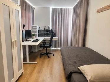 Prywatny pokój Springerstraat, obraz 1 4