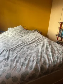 Chambre privée à Comeniusstraat, image 3 de 9