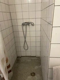 Chambre privée à Comeniusstraat, image 4 de 9