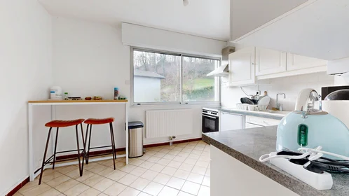 Privatzimmer in der 4b Rue des Sources, bild 12 von 25