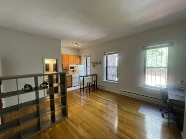 Estudio en residencia en 115, Saint Botolph, Unit 3, Back Bay, Boston, MA, 02115, imagen 10 de 20