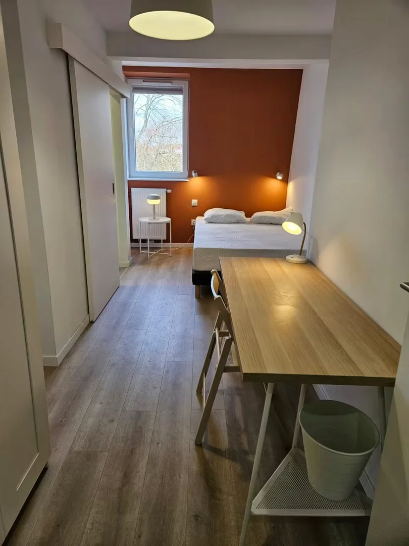 Affordable room for students with ample lighting in