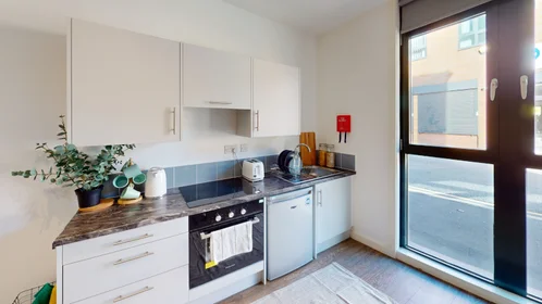 Estudio en residencia en St Marks Court, 12-14 St Marks Street, NG3 1DF, Nottingham, UK, imagen 22 de 27