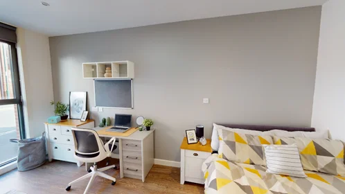 Estudio en residencia en St Marks Court, 12-14 St Marks Street, NG3 1DF, Nottingham, UK, imagen 23 de 27