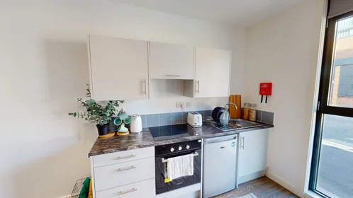 Estudio en residencia en St Marks Court, 12-14 St Marks Street, NG3 1DF, Nottingham, UK, imagen 24 de 27