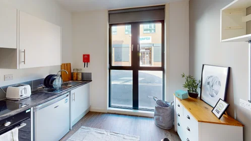 Estudio en residencia en St Marks Court, 12-14 St Marks Street, NG3 1DF, Nottingham, UK, imagen 25 de 27