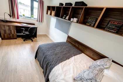 Chambre à louer avec lit double Exeter