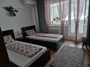 Całe miejsce Strada Odobești nr 13, distric 3, obraz 1 10