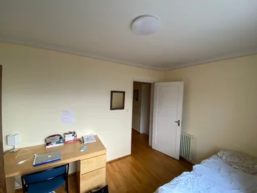 Private room at Snorrabraut, Reykjavik, image 5 of 9