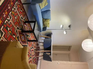 Chambre à louer dans un appartement en colocation à {area}