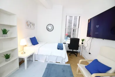 Accommodation with 3 bedrooms in new-york