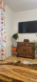 Logement entier à Matthäus-Lang-Straße, image 13 de 15