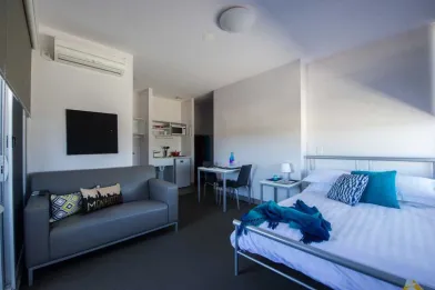 Luminoso monolocale in affitto a Adelaide