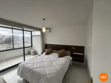 Appartamento intero in Miguel Claro 730, Providencia, Región Metropolitana, Chile, immagine 8 di 12