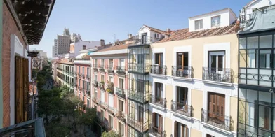 Private room at Calle de Fuencarral, image 27 of 31
