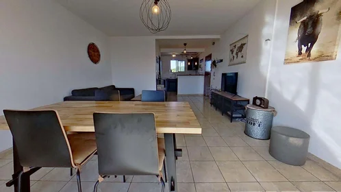 Habitación privada en 1782 Av. Georges Dayan, 30900 Nîmes, France, imagen 7 de 28