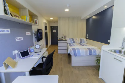 Studio in residence at Walnut Tree Cl, Guildford GU1 4TX, United Kingdom, image 3 of 15
