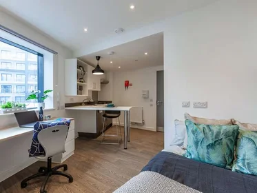 Prywatny pokój w rezydencji Saltwater Place Notte St, Plymouth PL1 2BN, United Kingdom, obraz 14 27