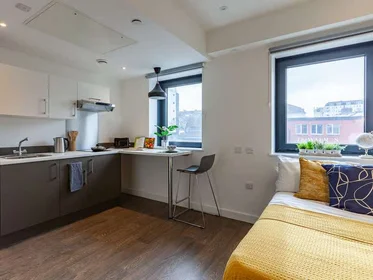 Prywatny pokój w rezydencji Saltwater Place Notte St, Plymouth PL1 2BN, United Kingdom, obraz 20 27