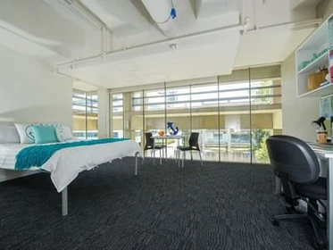 Estudio para 2 personas en Canberra