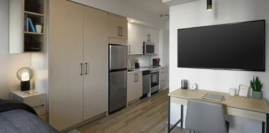 Apartamento moderno e brilhante em ottawa
