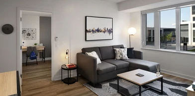 Entire fully furnished flat in Ottawa