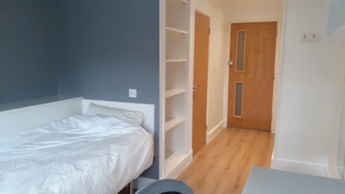 Room for rent in a shared flat in Norwich