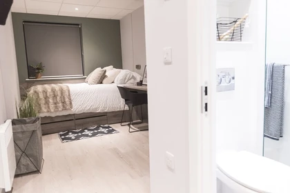 Zimmer mit Doppelbett zu vermieten Swansea