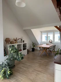 Entire apartment at Kranichsteiner Straße, Darmstadt-Nord, image 5 of 10
