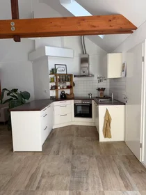 Entire apartment at Kranichsteiner Straße, Darmstadt-Nord, image 7 of 10