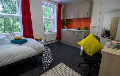 Habitación compartida con otro estudiante en Londres