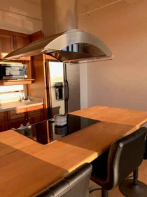 Apartamento totalmente mobilado em Rochester