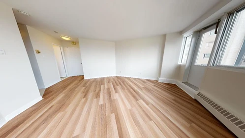 Very bright studio for rent in Montreal