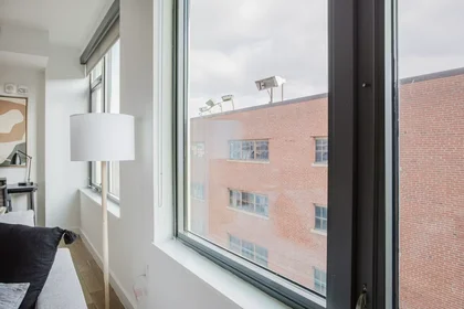 Logement entier à 4th Street Southeast, Navy Yard, image 6 de 10