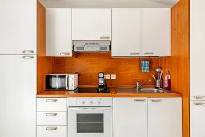 Entire apartment at Avenue du Docteur Raymond Picaud, image 6 of 10