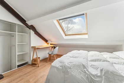 私人房间 在 35 rue René Hamon, 94800 Villejuif, 15的图像13