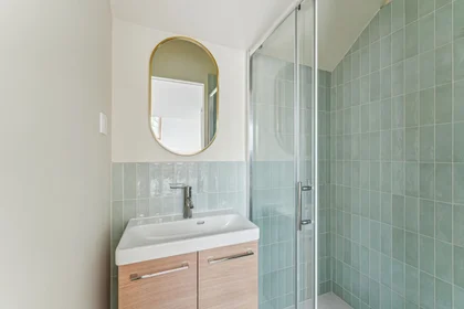 私人房间 在 35 rue René Hamon, 94800 Villejuif, 15的图像15