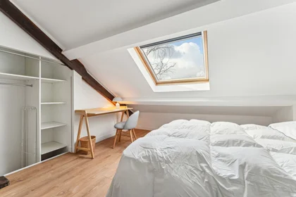 私人房间 在 35 rue René Hamon, 94800 Villejuif, 15的图像10