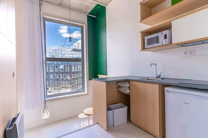 Monolocale in 5 Rue du Ctre, immagine 1 di 10