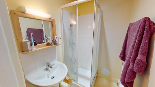 Stanza privata in 9 Rue François Chénieux, Limoges 87000, immagine 9 di 14
