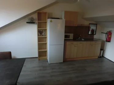 Private room at Borgharenweg, image 1 of 10