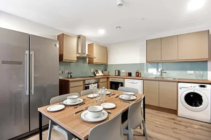 Private room in residence at Howard Gardens, Cardiff CF24 0FA, United Kingdom, image 3 of 31