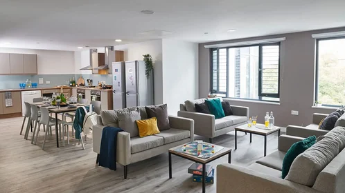 Private room in residence at Howard Gardens, Cardiff CF24 0FA, United Kingdom, image 28 of 31