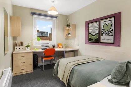 Stanza privata in residence in 30 Staniforth St, Birmingham B4 7DR, United Kingdom       , immagine 11 di 17