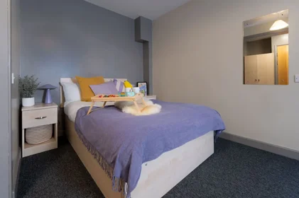 Stanza privata in residence in 30 Staniforth St, Birmingham B4 7DR, United Kingdom       , immagine 15 di 17