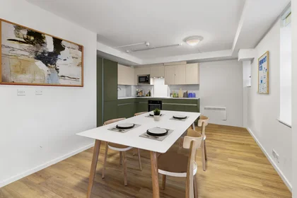 Stanza privata in residence in 30 Staniforth St, Birmingham B4 7DR, United Kingdom       , immagine 3 di 17