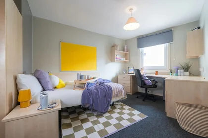 Stanza privata in residence in 30 Staniforth St, Birmingham B4 7DR, United Kingdom       , immagine 4 di 17