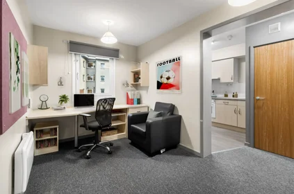 Stanza privata in residence in 30 Staniforth St, Birmingham B4 7DR, United Kingdom       , immagine 8 di 17